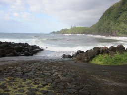 Visite de la petite cousine !